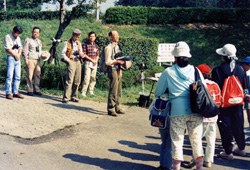 ���蓌����