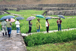 �S�X���؏��