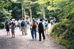 ���炪��k�J