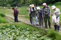 �L�c�s���R�ώ@�̐X